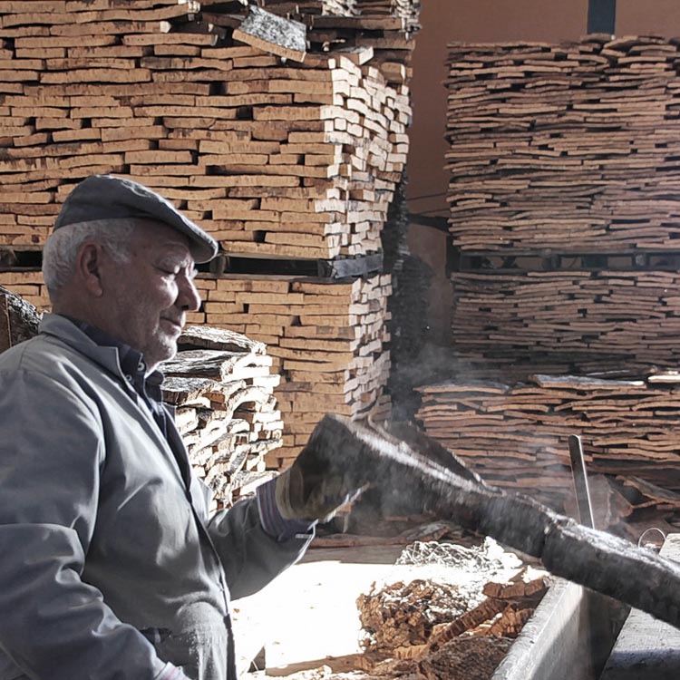 cork harvest 3