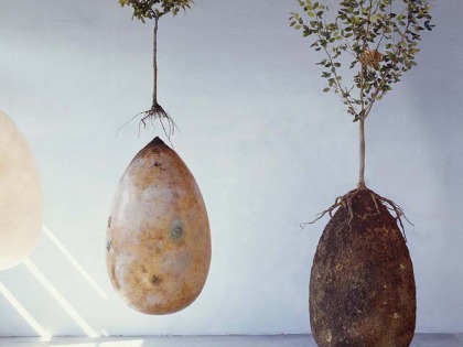 Burial Pods by Capsula Mundi
